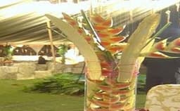 Delite Garden Photo