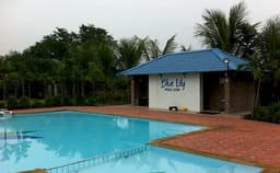 Palms Water Photo