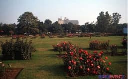 Rose Garden Photo