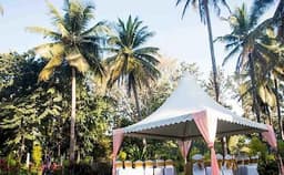 Elements Photo Elements Photo