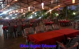 Kokan King Lawn Photo Kokan King Lawn Photo