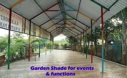 Kokan King Lawn Photo Kokan King Lawn Photo