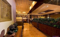 Angrezi Patiyala Photo Angrezi Patiyala Photo