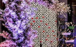 Aurous Banquet Hall Photo Aurous Banquet Hall Photo