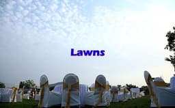 Kokan King Lawn Photo Kokan King Lawn Photo