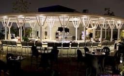 Big Pitcher Photo Big Pitcher Photo