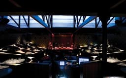 Blue Frog Photo Blue Frog Photo