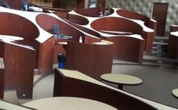 Blue Frog Photo Blue Frog Photo