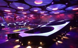 Blue Frog Photo Blue Frog Photo