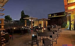 Bonobo Photo Bonobo Photo