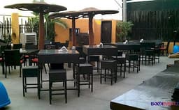 Bonobo Photo Bonobo Photo