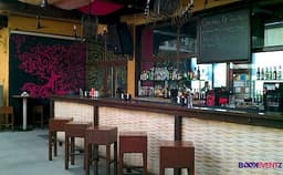 Bonobo Photo Bonobo Photo