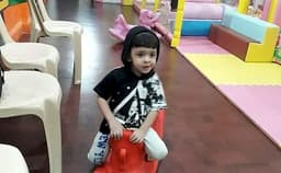 Bumble Bees Photo Bumble Bees Photo