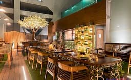 Candy and green Photo Candy and green Photo