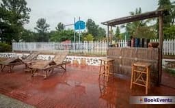 Chazing Purple - Ora Acres Photo Chazing Purple - Ora Acres Photo