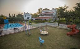 Chazing Purple - Ora Acres Photo Chazing Purple - Ora Acres Photo