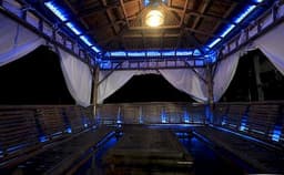 Chazing Purple - Ora Acres Photo Chazing Purple - Ora Acres Photo