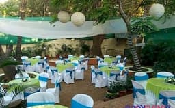 Corona Garden Photo Corona Garden Photo