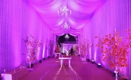 D Maple Garden Photo D Maple Garden Photo