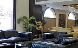 Mapple Emerald Photo Mapple Emerald Photo