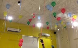 Go Bonkers Photo Go Bonkers Photo