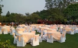 Golden Orchard Photo Golden Orchard Photo