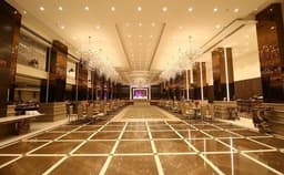 Green Lounge Fusion Photo Green Lounge Fusion Photo