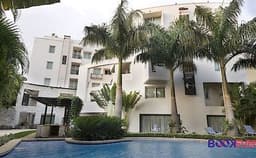 Halcyon Bohemian Photo Halcyon Bohemian Photo