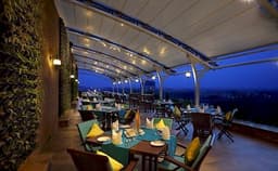 The Fern Photo The Fern Photo