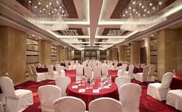 The Fern Photo The Fern Photo