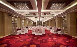 The Fern Photo The Fern Photo