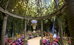 Hyatt Regency Photo Hyatt Regency Photo