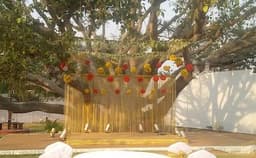 Princess Shrine Photo Princess Shrine Photo