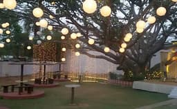 Princess Green Photo Princess Green Photo