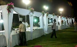 Princess Green Photo Princess Green Photo