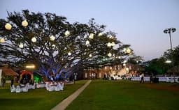 Princess Green Photo Princess Green Photo