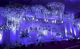 White Petals Photo White Petals Photo