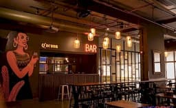 Jumping Frog Photo Jumping Frog Photo