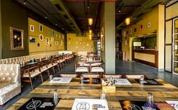 Jumping Frog Photo Jumping Frog Photo