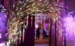 Nesco Photo Nesco Photo