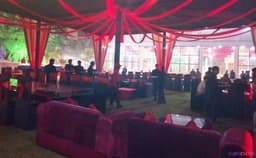 Orchid Valley Photo Orchid Valley Photo