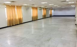 Palm Tree Photo Palm Tree Photo