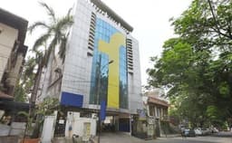 Palm Tree Photo Palm Tree Photo