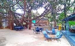 Pebble Photo Pebble Photo