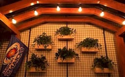 Pergula Photo Pergula Photo