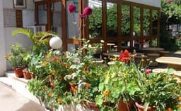 Petite Hotels Photo Petite Hotels Photo