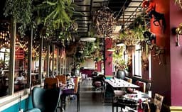 Plum by Bent Chair Photo Plum by Bent Chair Photo