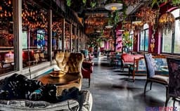 Plum by Bent Chair Photo Plum by Bent Chair Photo