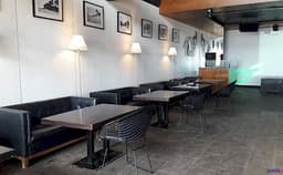 Razzberry Rhinoceros Photo Razzberry Rhinoceros Photo