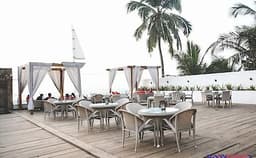 Razzberry Rhinoceros Photo Razzberry Rhinoceros Photo